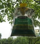 Disposable Fly Trap