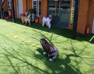 Quality Garden Artificial Grass Turf PE Synthetic Turf 35mm Landscaping Grass wholesale