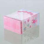 Clear CMYK Color PVC Professional Cake Box
