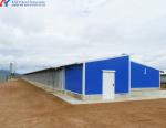 Galvanized Steel Chicken Farm Layer Poultry Farming Equipment