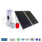 80 Gallon Roof Mounted Calentadores Solares with Glass Vacuum Tube Collector
