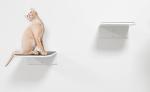 Triangle Bracket Metal Cat Shelf Wall Mounted for Curved Cat Bed Furniture and