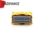 China Supplier Automotive Electrical Female 54 Pin ECU Connectors
