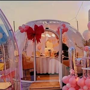 Quality Heavy Duty Giant Clear Bubble Tent Waterproof Dome Tent For Dining wholesale