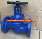 DN25-DN80 PN16 GG25 DIN bellows globe valve