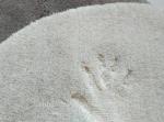 Half round shaggy microfiber entrance mat