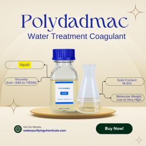 Quality NSF Certified Water Purifying Chemicals Water Treatment Coagulant PolyDADMAC PDADMAC CAS No 26062-79-3 wholesale