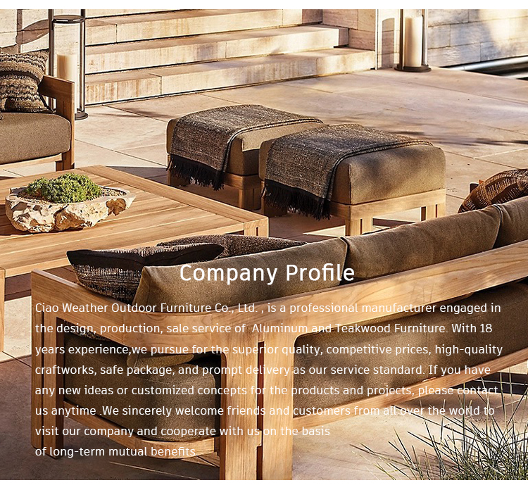 Teak Outdoor Furniture Set Garden Sofa in Modern Design with Customized Color