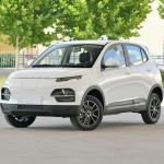 100 Km/h High Speed Electric Car YUE HU New Design Electric 5 Seat Mini SUV