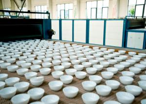 Quality Heat Resistant Opal Glass Plate 12 Inch Glass Processing Plant wholesale