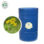 CAS 8016-87-3 Wholesale price Tanacetum annuum oil 100% pure natural organic