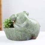 Succulent Creative Animals Cute Pig Plant Flowerpots