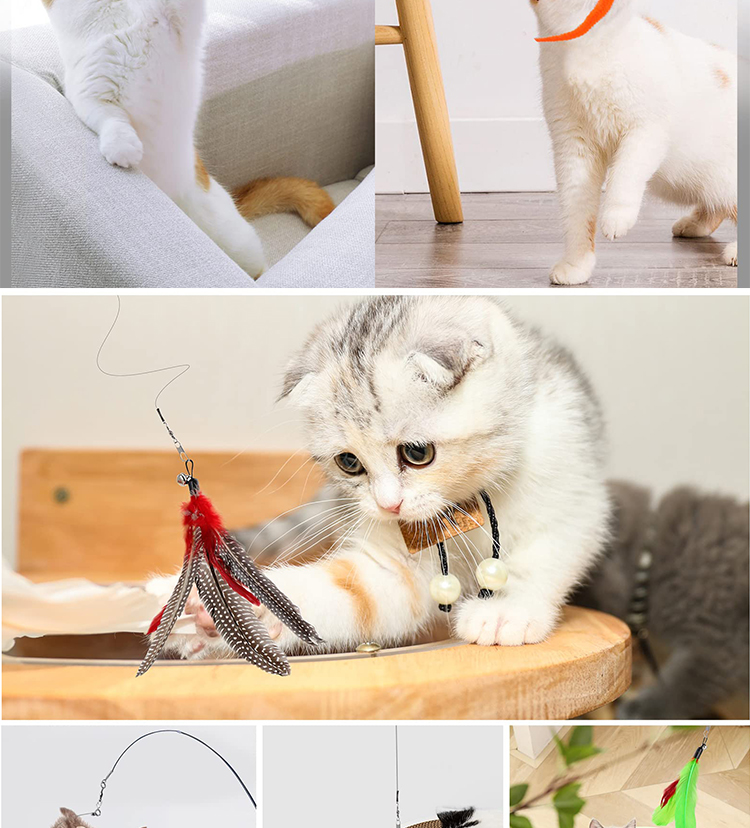 Pet Toy Multi-Color Interactive Pet Toy for Indoor Cats 2023 Juguetes Para Gatos