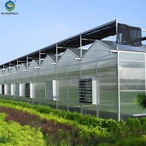 Quality Venlo Style Polycarbonate Farming Green House Customizable Size wholesale