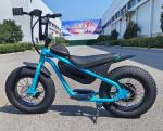 Disc Brake Electric Kids Bike for Off-road Little Fat Tire Ripper 37km/h Max
