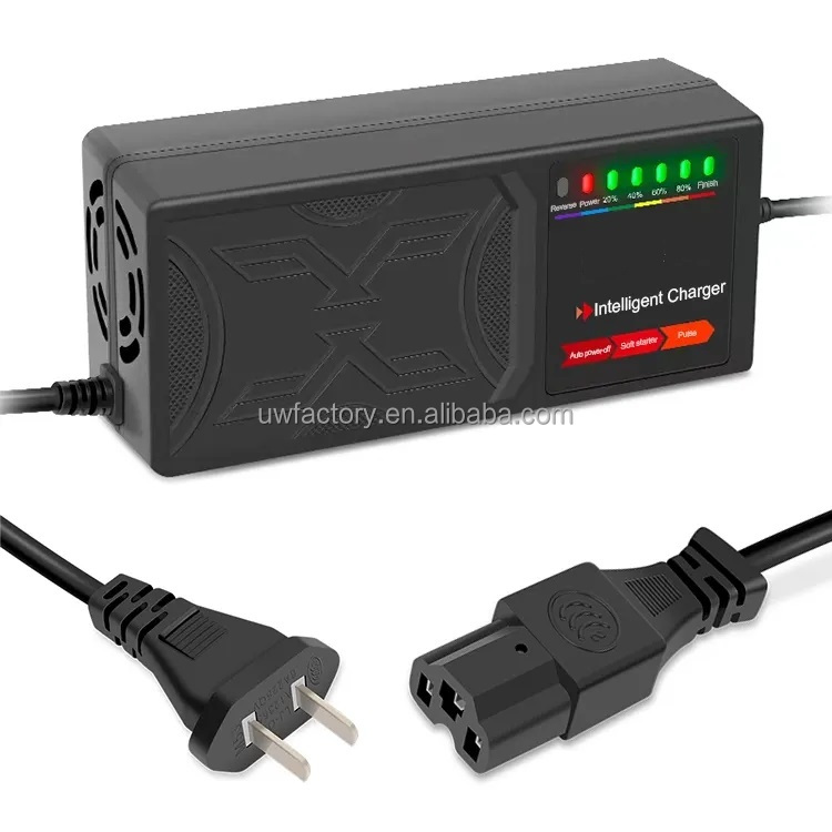 Private Mold 60V3A Smart Portable Lithium Battery Charger for UK AU EU UK Plug and Vehicle Charger