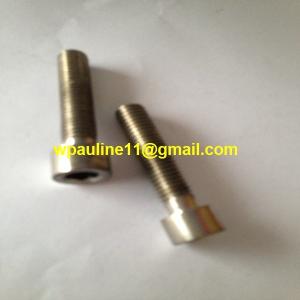 Quality SS316 hex socket screws DIN912 wholesale