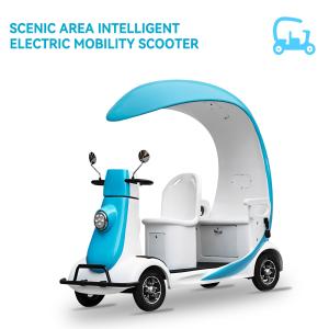Quality CE Adjustable Handlebar Electric Sightseeing Vehicles Custom Design wholesale
