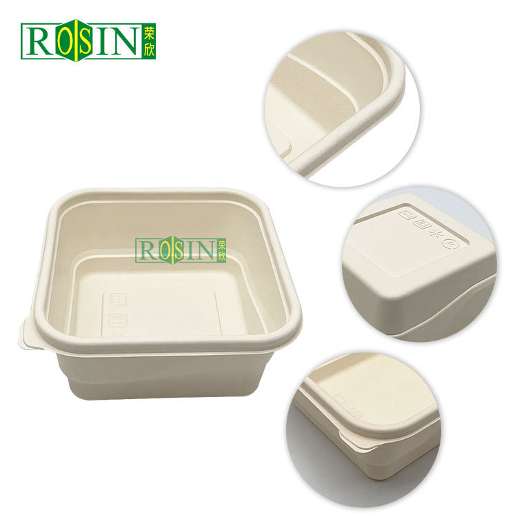 Tableware Biodegradable Take Out Containers Square Disposable With Lids