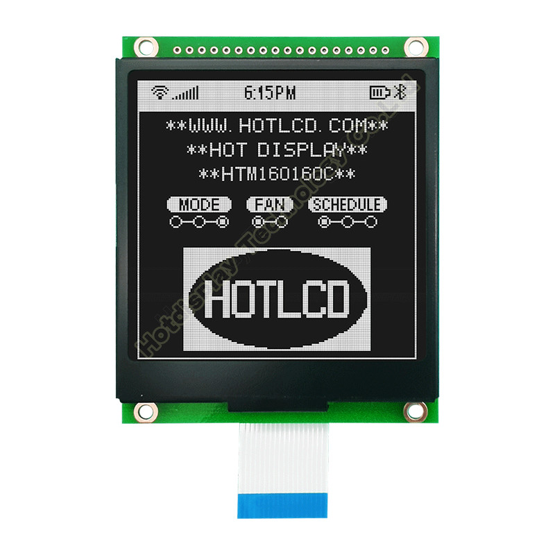160X160 FSTN Graphic LCD Module With White Backlight UC1698 HTM160160C