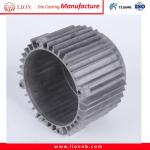 Hot Chamber Die Casting Machine Type Customized Die Casting of Motor Body