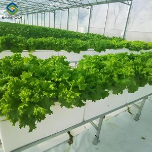 Quality High Production Automated Hydroponic Greenhouse Large Glass Greenhouses wholesale