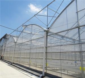 Quality Modern Farming Agricultural Poly Tunnel Plastic Film Tomato Greenhouses wholesale
