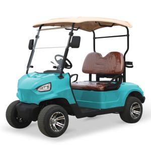 Quality NL-G2020 48V 5KW Golf Cart Car 2 Passenger with Max. Speed 15.5mph 25khp and Tire Size 205/50-10 Tire diameter 18.1in 460mm wholesale