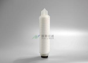Quality Hydrophobic Membrane Pharmaceutical Filters 10&quot; PVDF Pleated 0.1um 0.22um 0.45um wholesale