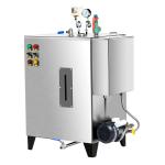 Stainless Steel Automatic Steam Boiler 36Kw 50kg/H Mini Steam Generator For
