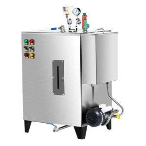 Quality Pure Electric Steam Boiler Generator Horizontal Style 18kw 24kg/H 0.7MPa wholesale