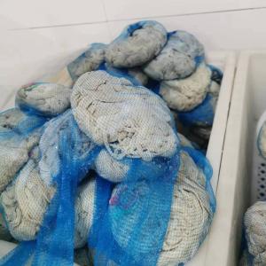 Quality Premium Breathable Goat Casings Uniform Thickness Good Firmness wholesale