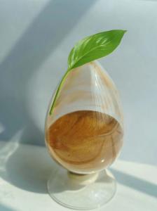 Quality Non Toxic Sodium Lignosulphonate Scale Inhibitor Water Treatment Agent CAS 8061-51-6 wholesale