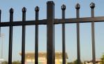 Black powder coated security backyard metal steel picket fence
