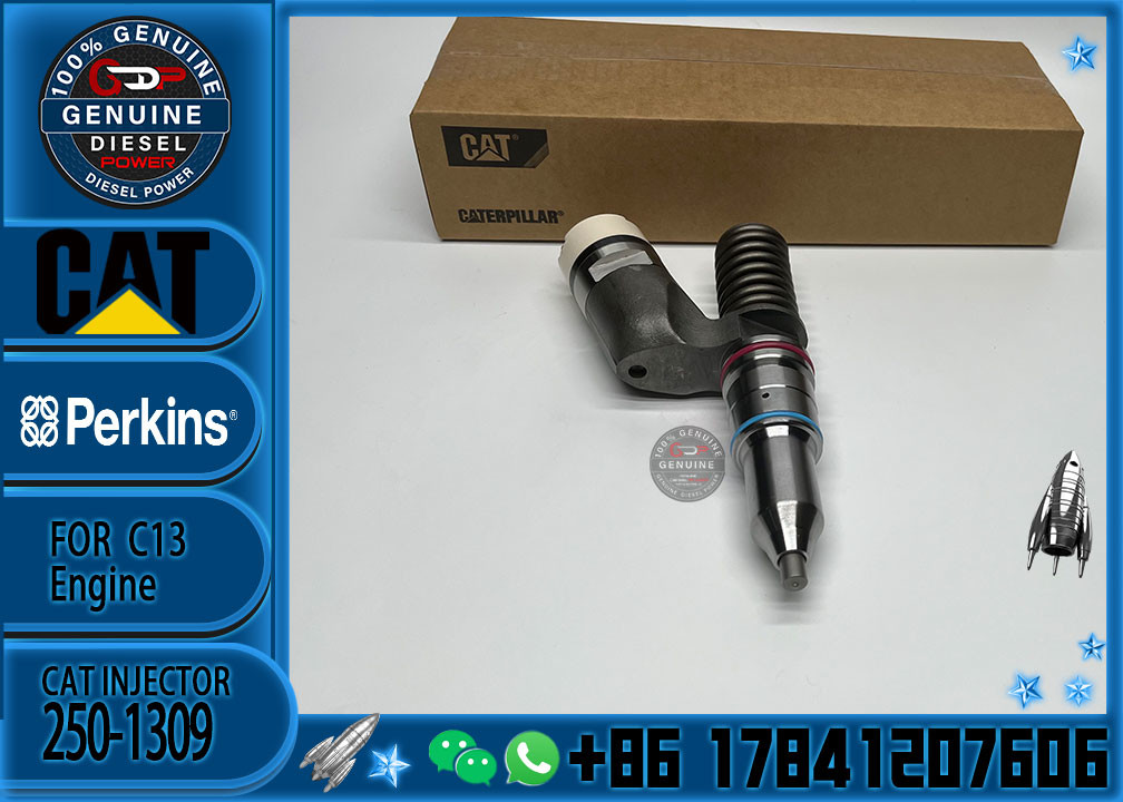 High Quality Diesel CAT Fuel Injector 250-1309 2501309 10R-3258 10R3258 For Cat C13 Excavator Parts Engine