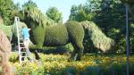 HAIHONG Beautiful Plants And Flowers Topiary Sculpture Fashionable