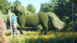 Quality HAIHONG Beautiful Plants And Flowers Topiary Sculpture Fashionable wholesale