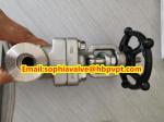 ANSI F321 F316 stainless steel forged gate valve