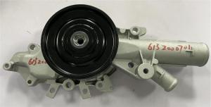 Quality 6132000701 Engine Parts Water Pump wholesale
