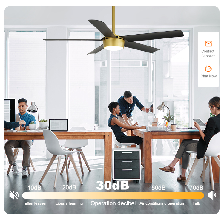 52-Inch DC Motor Ceiling Fan Modern Decorative Low Watt Fan with Remote Control and 10-