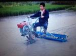 Rice seed planter