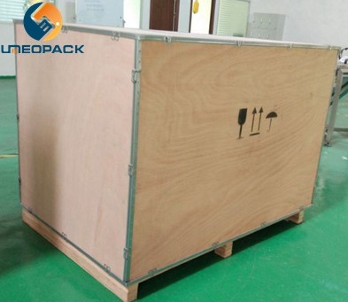 Automatic ice cube packing machine
