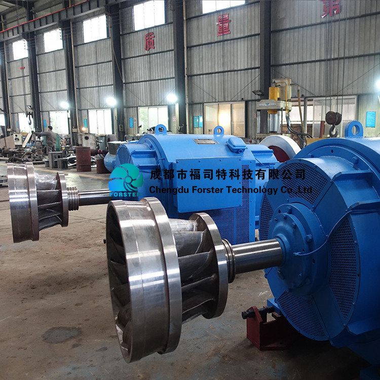 Auto Unit Valve Governor Transformer 1mw Hydro Turbine Generator