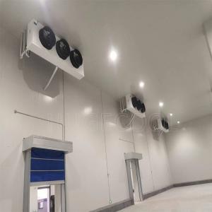 Quality Freon Refrigerant Cold Room Freezer and Cooler Room with 10 Years After-sales Service wholesale