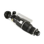 Professional MAYBACH 57 AND 62 FRONT-L HYDRAULIC SHOCK ABSORBER OEN No.