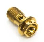 Gr5 Single Banjo Titanium Bolt M10 X 1.0 Titanium Probolt Race Motorcycle Parts
