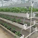 Strawberry Hydroponic Growing System Vertical Planting Cultivation PVC Gutter