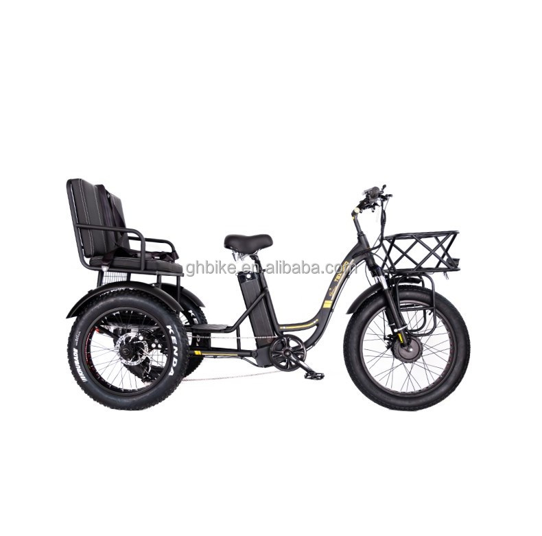 Disc Brake 750W Electric Cargo Tricycle Fat Tire 3 Wheel E Trike for Long Range Travel