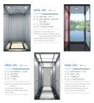 ORIA mordenized home resident home Villa elevator