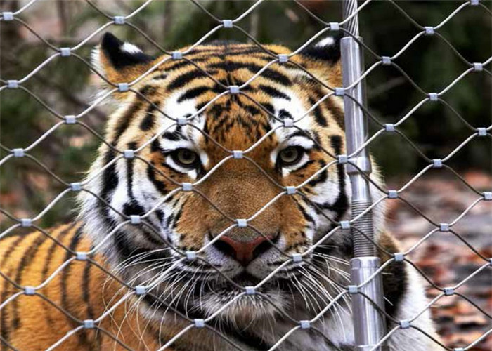 Zoo Stainless Steel Wire Mesh Fencing 7*7 7*19 With Various Specifications